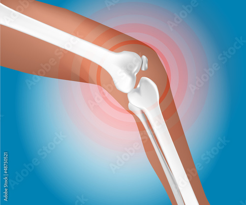 Illustration: knee joint knee joint