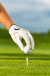 Foto: Hand hold golf ball with tee on course Hand hold golf ball with tee on course