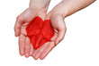 a heart in hands