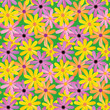 Seamless gerber daisies pattern and background
