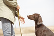Dog and trainer