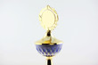 Pokal