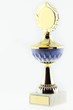Pokal