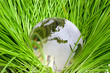 Earth in green grass