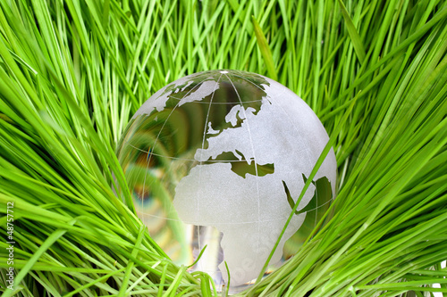 Photo: Earth in green grass Earth in green grass