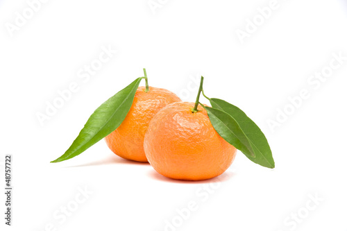 Photo: mandarini mandarini