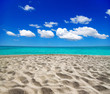 sea