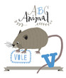 ABC animals: V is for vole. Vector Graphics
