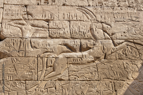 Photo: Egypt Luxor Temple view Egypt Luxor Temple view