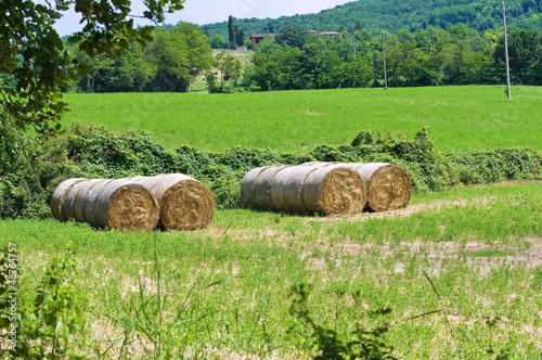 Photo: Hay bale field. Hay bale field.