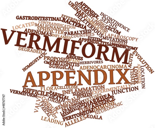 Illustration: Word cloud for Vermiform appendix Word cloud for Vermiform appendix
