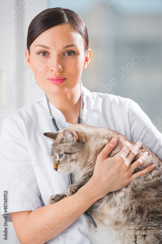 Photo: Veterinarian holding a cat at clinic Veterinarian holding a cat at clinic