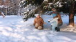 Video: Young parents with a child playing in a winter forest (SLOW) Young parents with a child playing in a winter forest (SLOW)