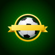 Vector Soccer Emblem