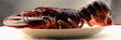 Lobster on a plate
