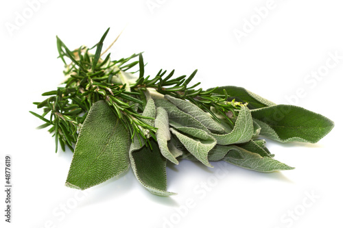 Photo: Sage and rosemary on a white background Sage and rosemary on a white background