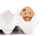Egg Characters