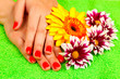 manicure hands gerbera