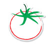 Vector: Sketch of tomato vector Sketch of tomato vector