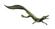 Mesosaurus - Aquatic Dinosaur