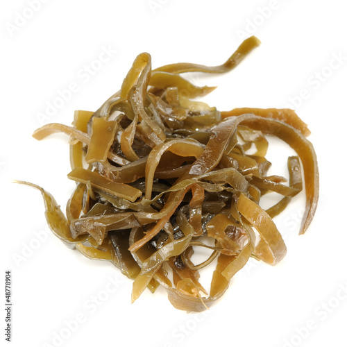Photo: Laminaria (Kelp) Seaweed Isolated on White Background Laminaria (Kelp) Seaweed Isolated on White Background