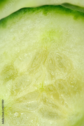 Photo: Cucumber Slice Macro Cucumber Slice Macro