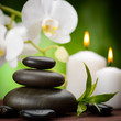 spa concept
