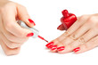 manicure. applying nail polish. isolated