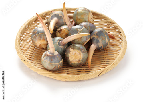 Photo: threeleaf arrowhead, kuwai, japanese vegetable threeleaf arrowhead, kuwai, japanese vegetable