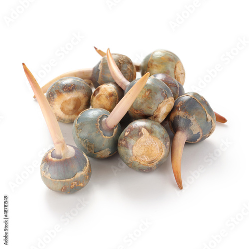 Photo: threeleaf arrowhead, kuwai, japanese vegetable threeleaf arrowhead, kuwai, japanese vegetable