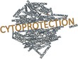 Word cloud for Cytoprotection