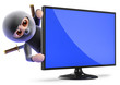 Ninja jumps out from behind widescreen tv