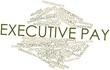 Word cloud for Executive pay
