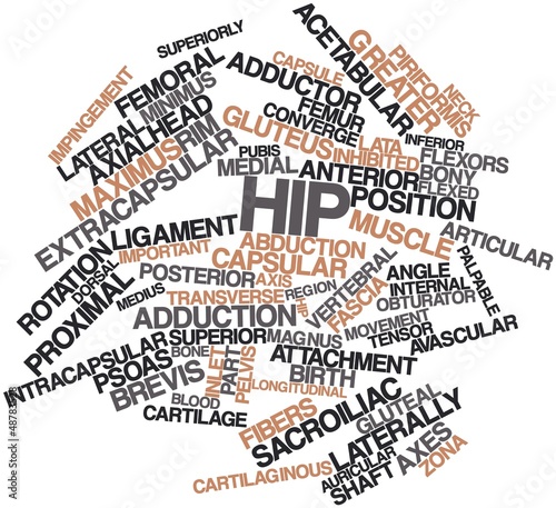 Illustration: Word cloud for Hip Word cloud for Hip
