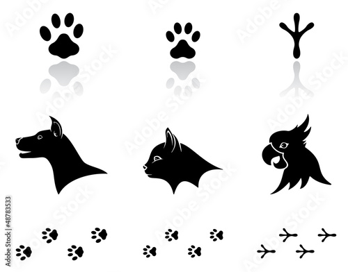 Vector: Domestic animals Domestic animals