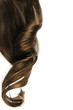 Long brown curl isolated