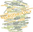 Word cloud for Neurotheology