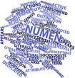 Word cloud for Numen