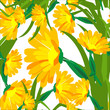 Seamless Pattern Flowers