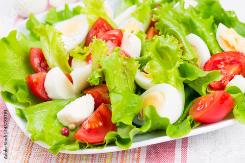 Photo: salad with tomatoes, mozzarella and eggs salad with tomatoes, mozzarella and eggs