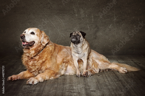 Photo: beste Freunde beste Freunde