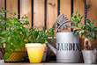 Herbes aromatiques, arrosoir zinc Jardin