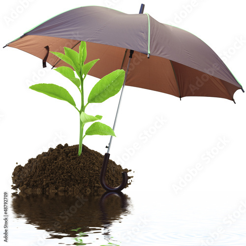 Photo: concept protection nature environnement écologie concept protection nature environnement écologie