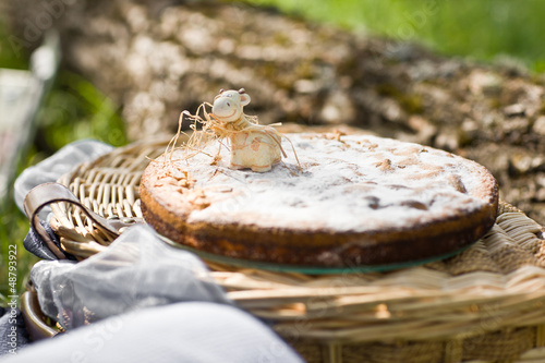 Photo: apple pie on picnic apple pie on picnic