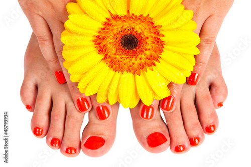 Photo: pedicure feet of a young woman pedicure feet of a young woman