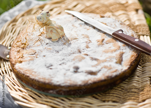 Photo: apple pie on picnic apple pie on picnic