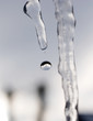 Drop from icicli