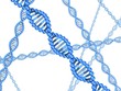 DNA - Moleküle, weißer Hintergrund