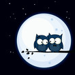 Owl couple