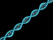 DNA-Strang, isoliert